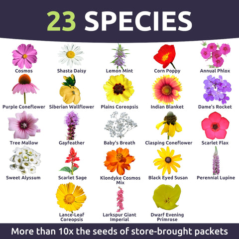 Sweet Yards Southeast Regional Mix garden in sun demonstrates easy wildflower growth.