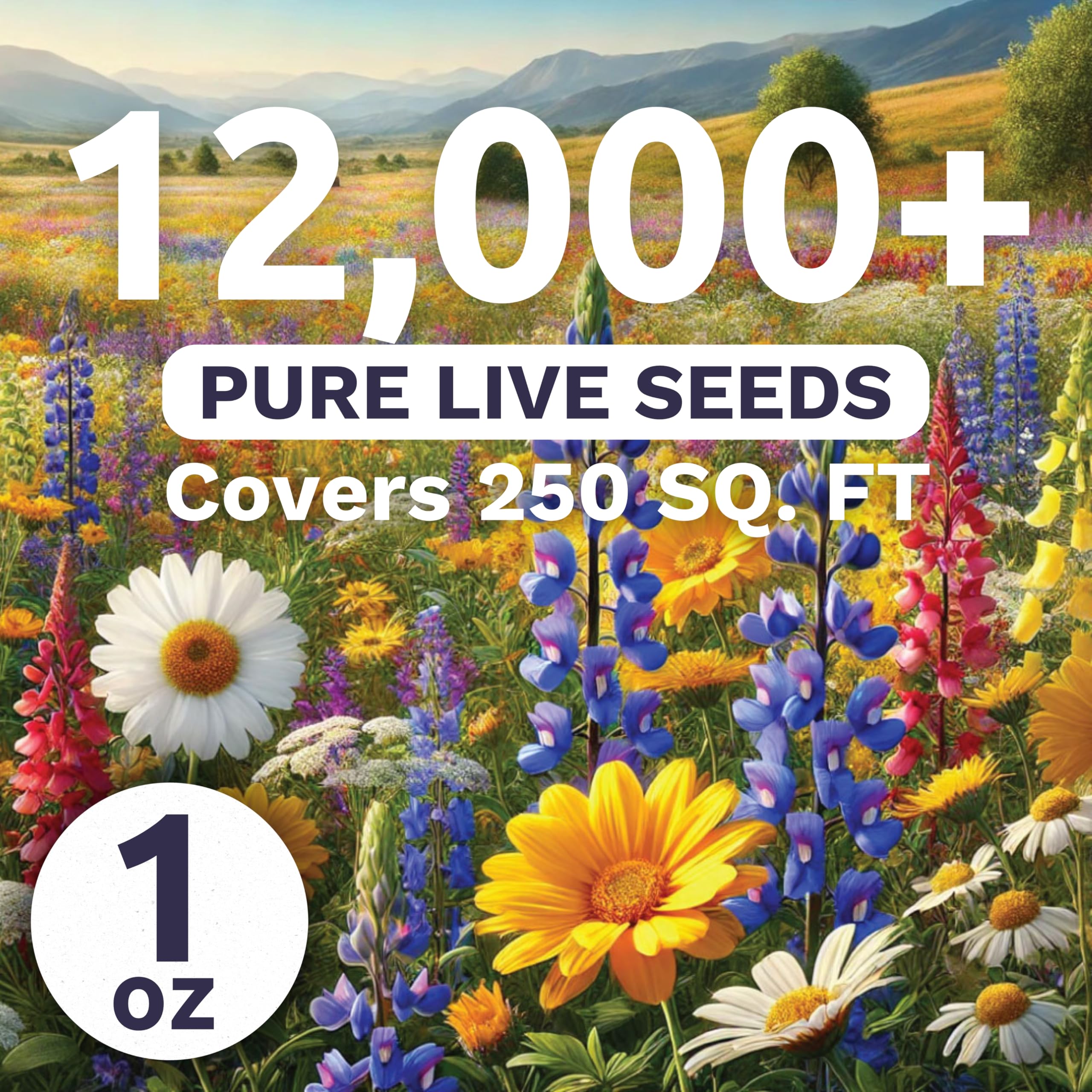 Sweet Yards Southeast Regional Mix seeds closeup highlighting variety for vibrant meadow color.