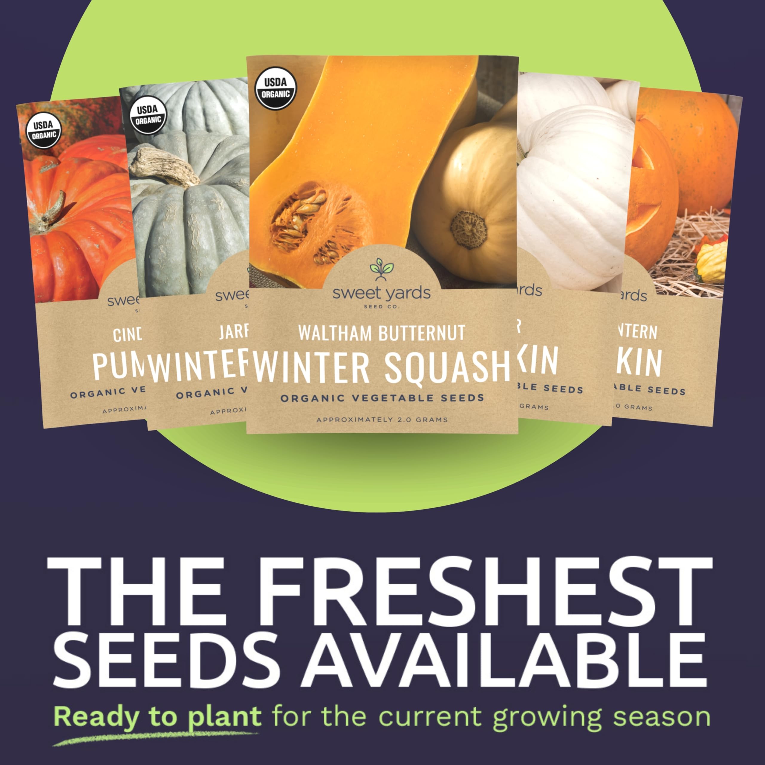 Sweet Yards Spaghetti squash seed packet great for garden to table meals
