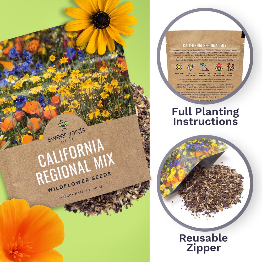 Sweet Yards spring color wildflower mix delivering a kaleidoscope of hues.