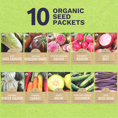 Sweet Yards Starburst carrot seeds for bright, crunchy harvests
