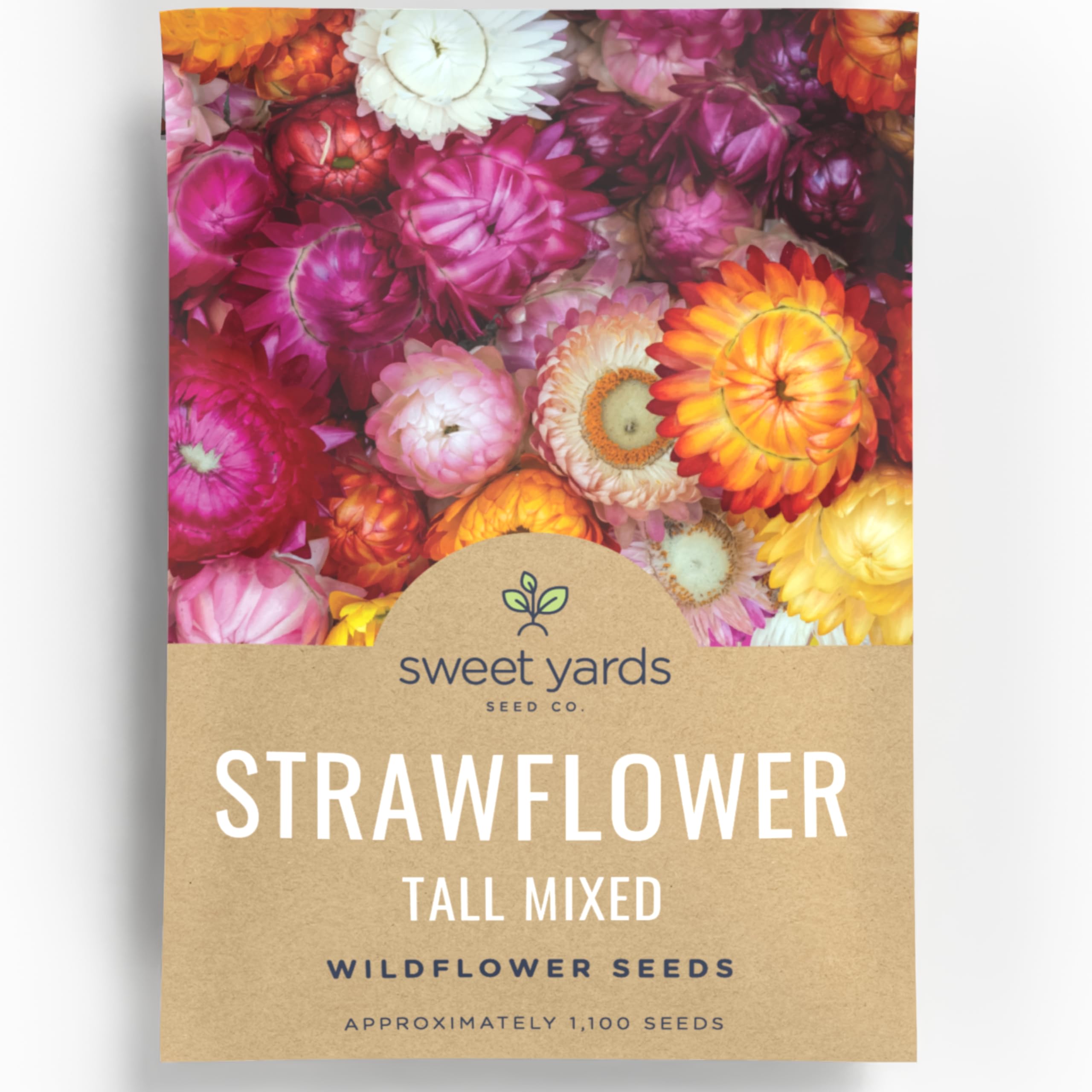 Sweet Yards strawflower tall mixed envelope seeds ready for planting in your garden.