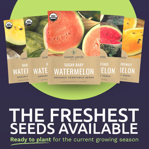 Sweet Yards Sugar Baby watermelon seed packet close-up for easy sowing and early yields.