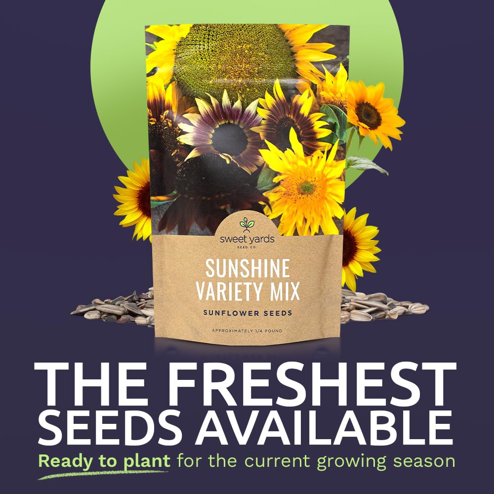 Sweet Yards open-pollinated mix seeds provide vibrant color variety for borders and beds.