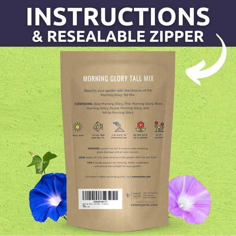 Sweet Yards morning glory blooms open at sunrise, brightening landscapes.