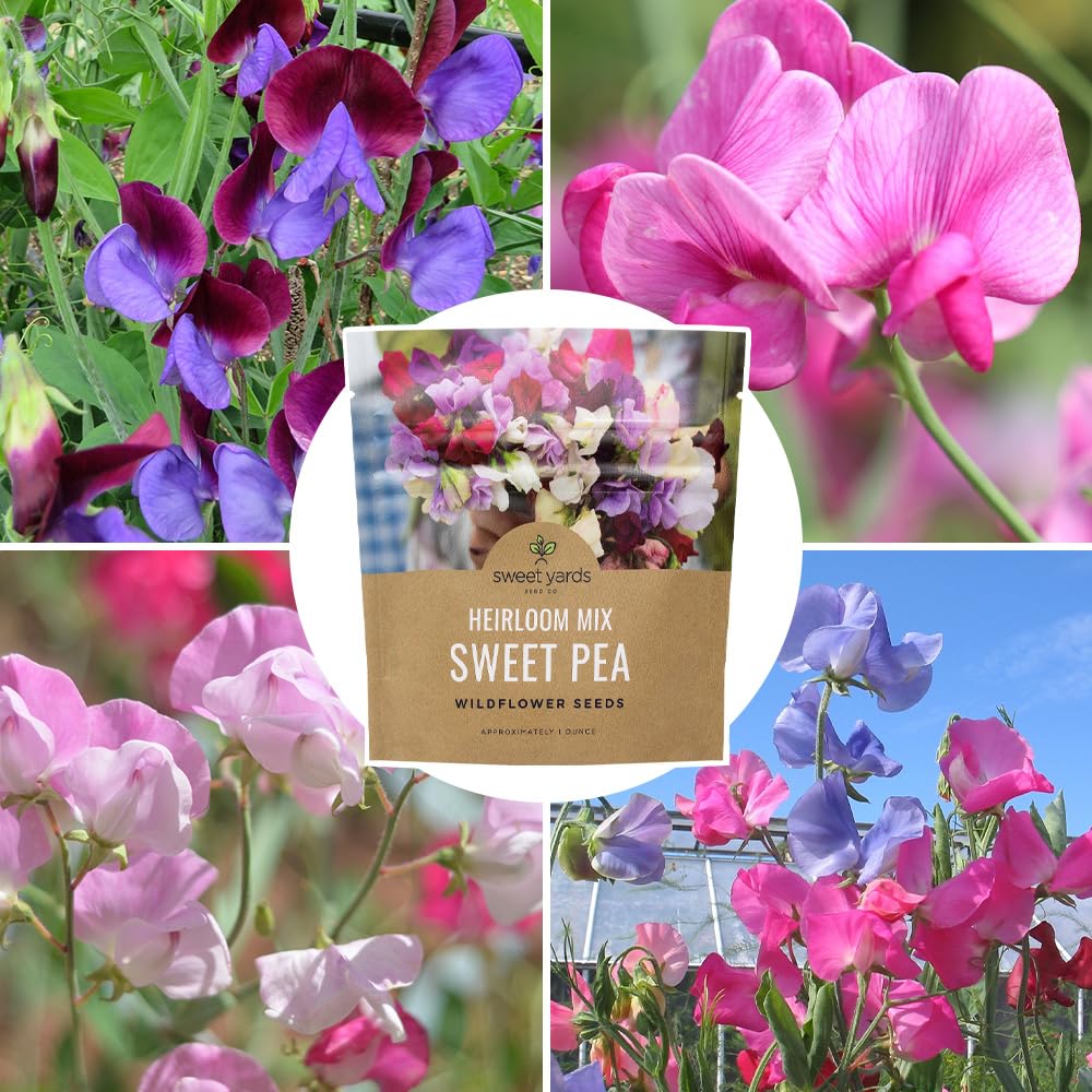 Sweet Yards 350+ seeds deliver color variety across seasons