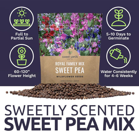 SWEET YARDS Sweet Pea Royal Mix in a garden bed with even spacing for lush blooms.