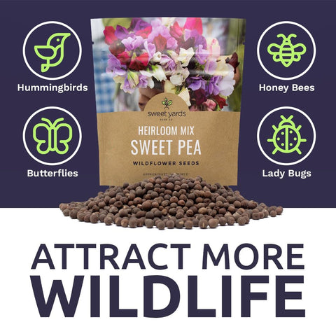 Sweet Yards seeds germinate reliably for a vibrant garden start