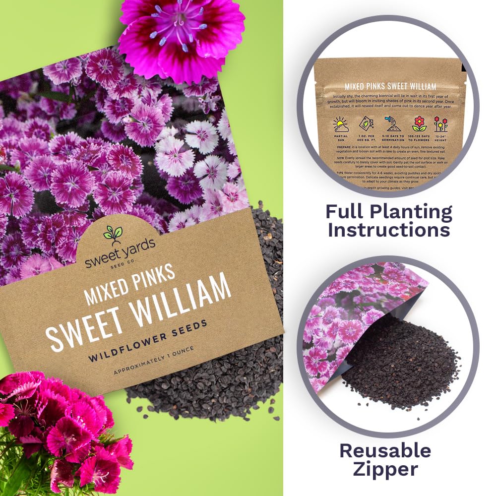 Sweet Yards Sweet William border planting idea with pink fragrance and long lasting color