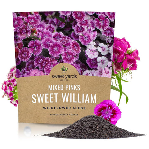 Sweet Yards Sweet William seeds packaging ready to sow for color that lasts