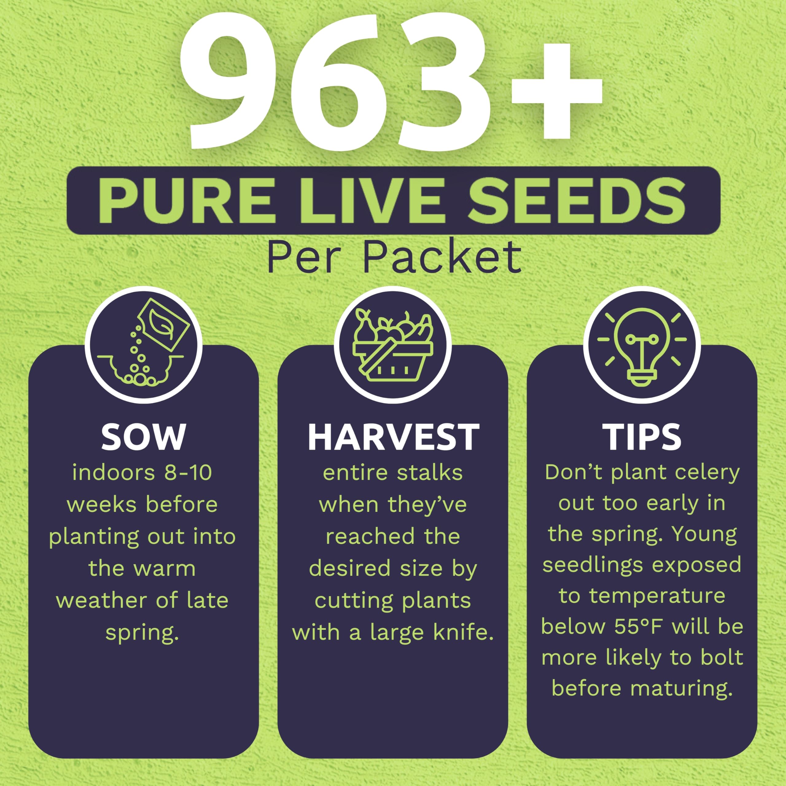 Sweet Yards Tall Utah celery seeds suggest high germination potential for a productive season.
