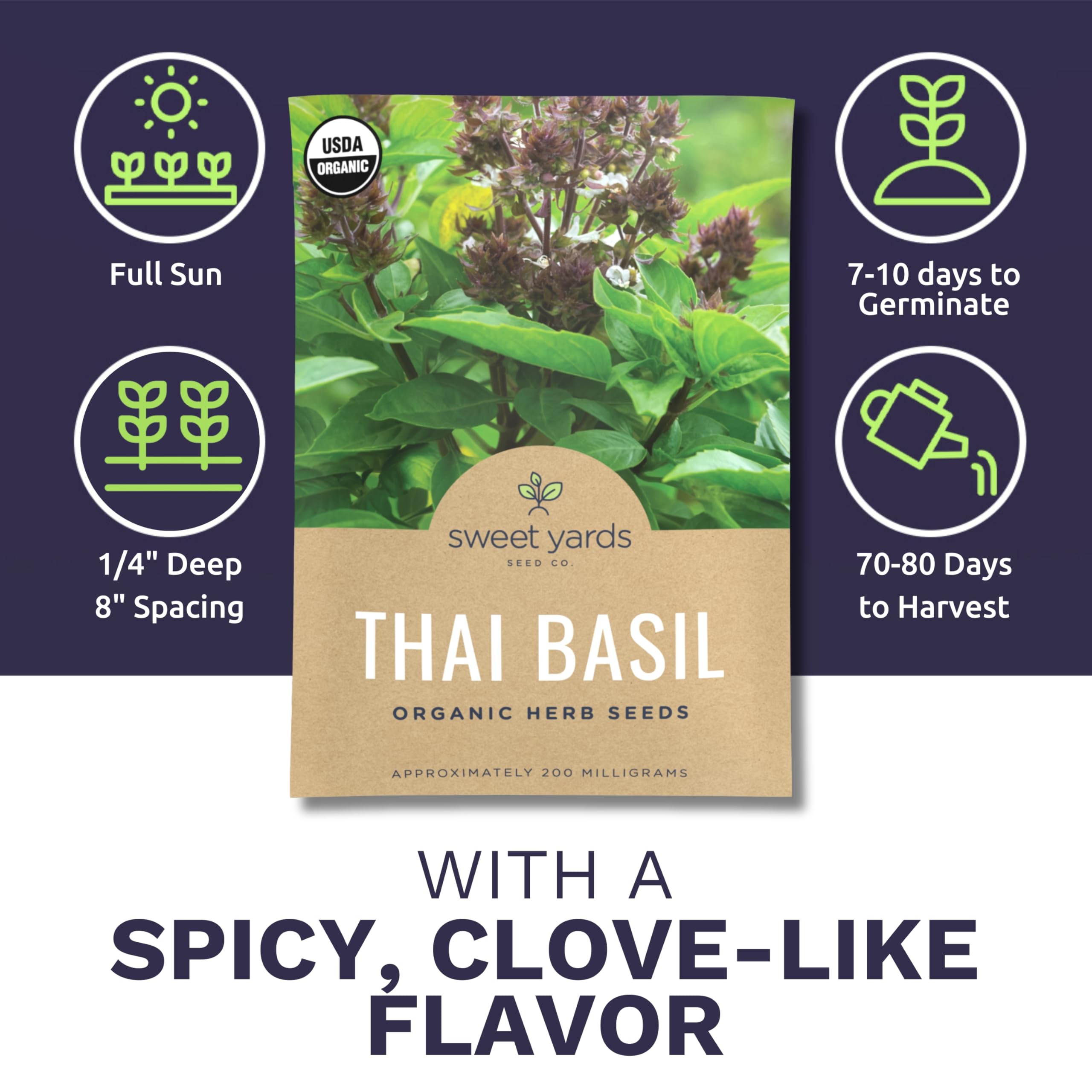 Sweet Yards Thai basil purple flowers adding ornamental appeal