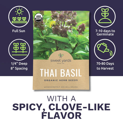 Sweet Yards Thai basil purple flowers adding ornamental appeal