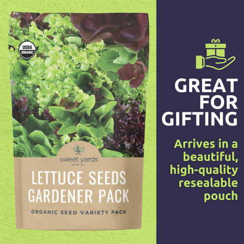 Sweet Yards thriving garden with multiple lettuce and greens varieties ready for harvest.