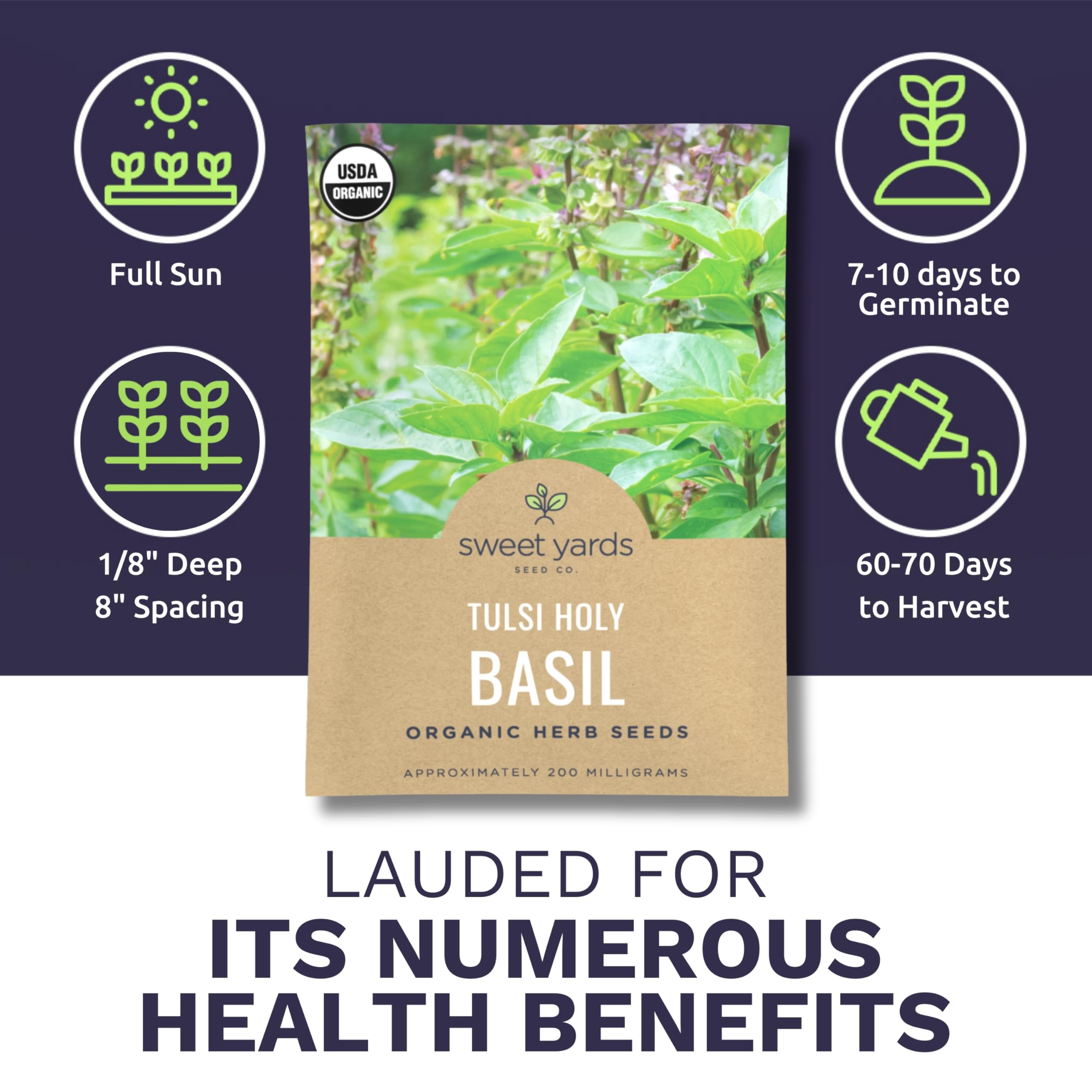Sweet Yards Tulsi 2026 fresh seeds highlighting open-pollinated, non-GMO quality.