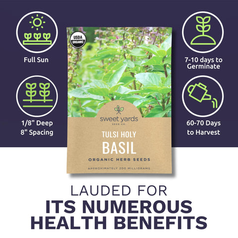 Sweet Yards Tulsi 2026 fresh seeds highlighting open-pollinated, non-GMO quality.
