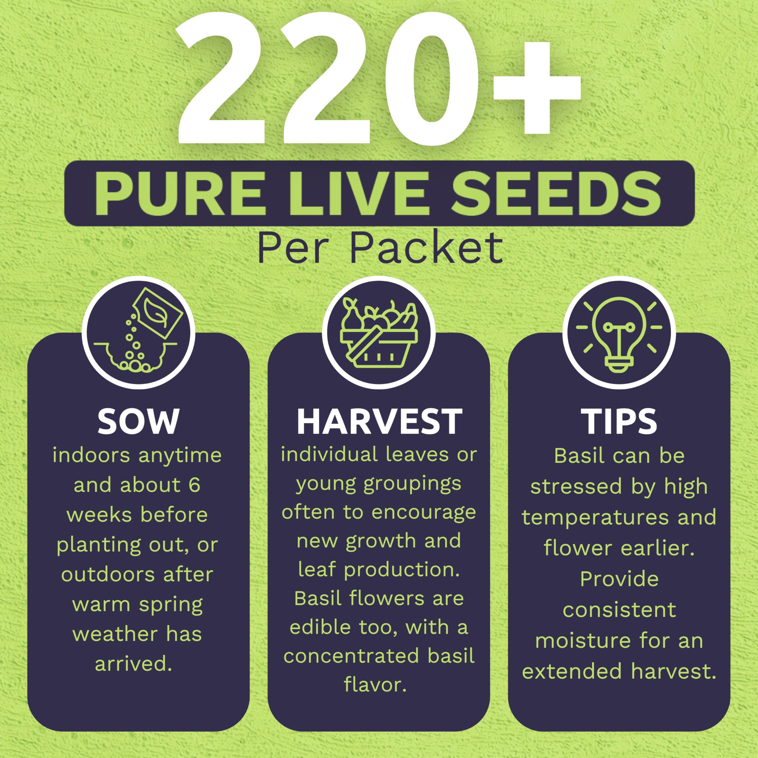 Sweet Yards two-seed packets with clear planting instructions