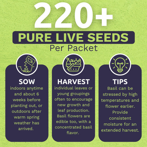 Sweet Yards two-seed packets with clear planting instructions