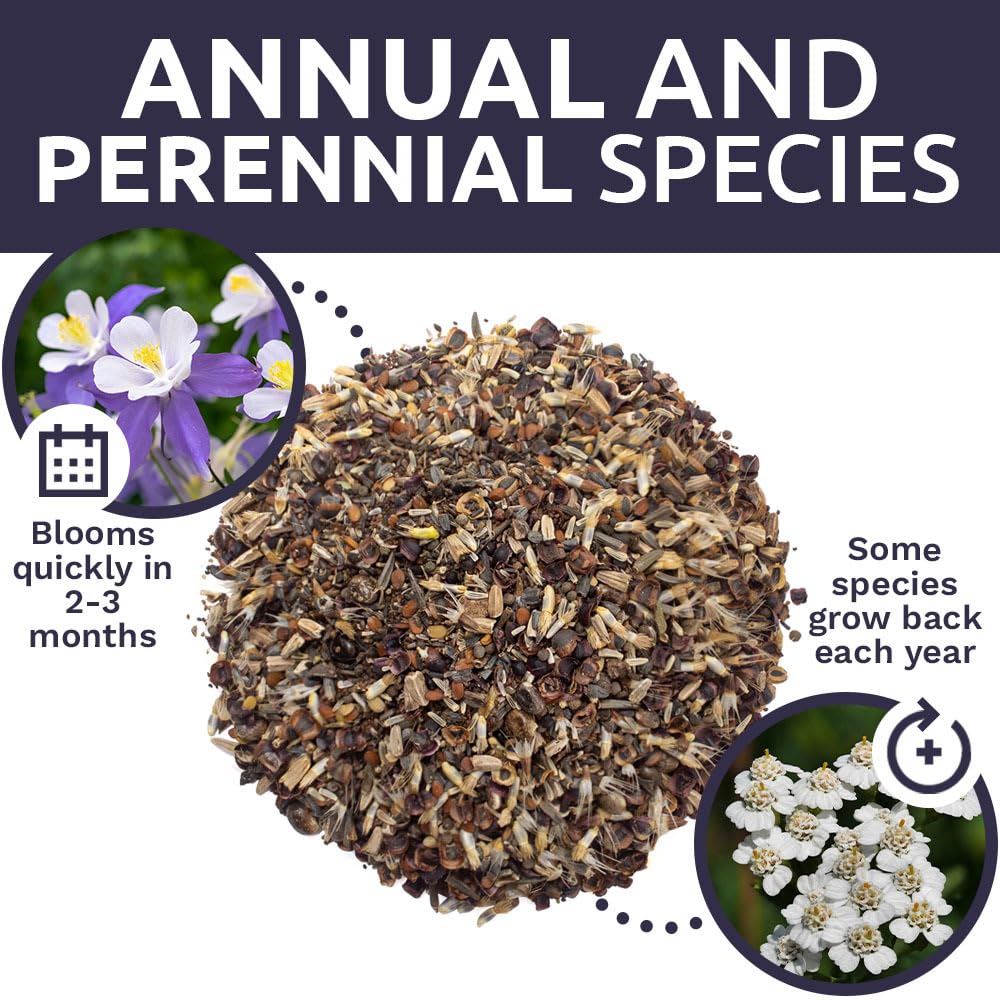 Sweet Yards USA-sourced seeds presented as high-quality options.