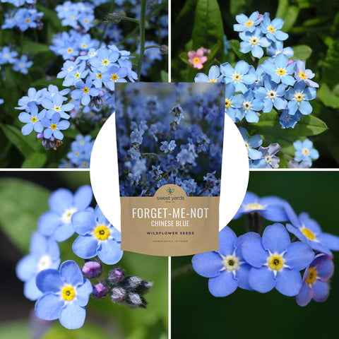 Sweet Yards wildflower seeds promise a blue carpet across your garden.