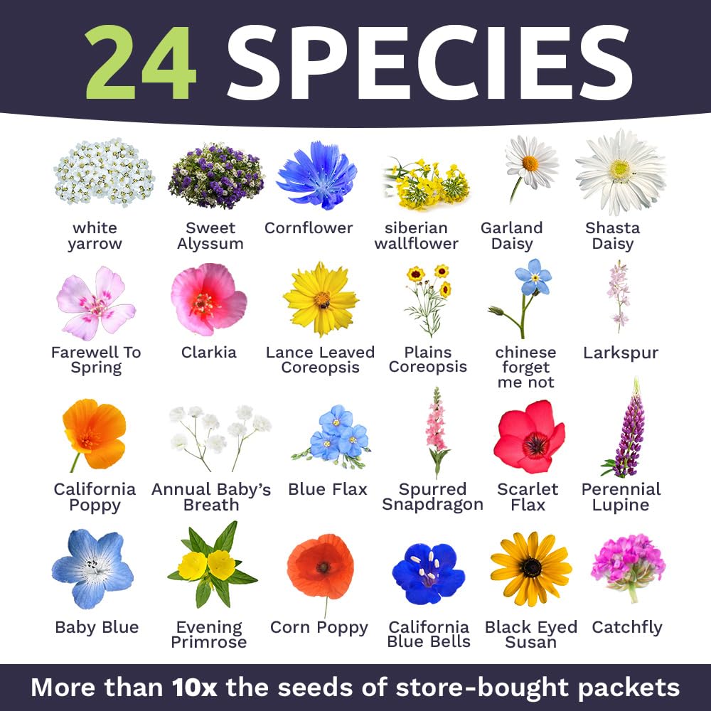 Sweet Yards Wildflower Pollinators attract bees and butterflies with open-pollinated mix.
