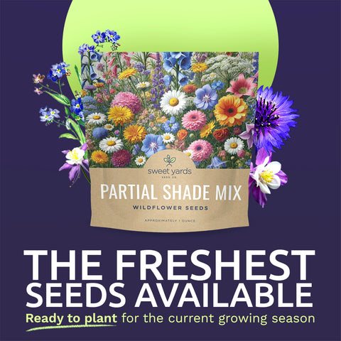 Sweet Yards 1-ounce packet of open-pollinated seeds ready for sowing color.
