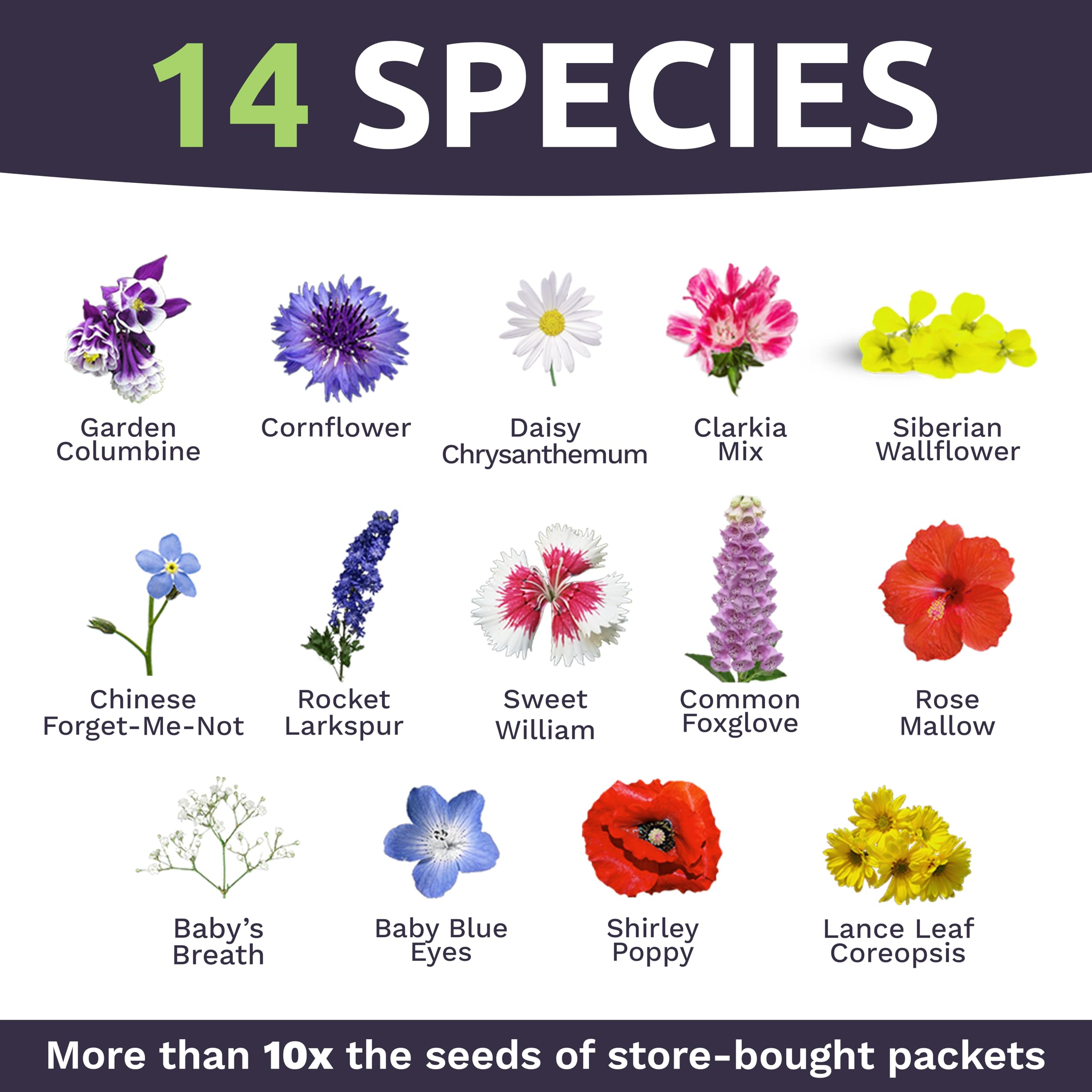 Sweet Yards wildflower seeds show diverse species for a natural garden.