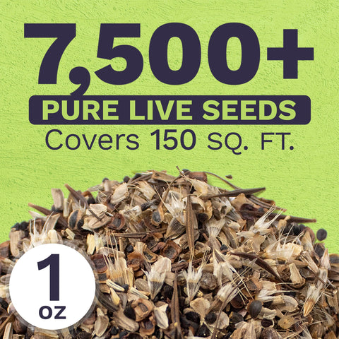 Sweet Yards wildflower seed mix ready for garden borders.