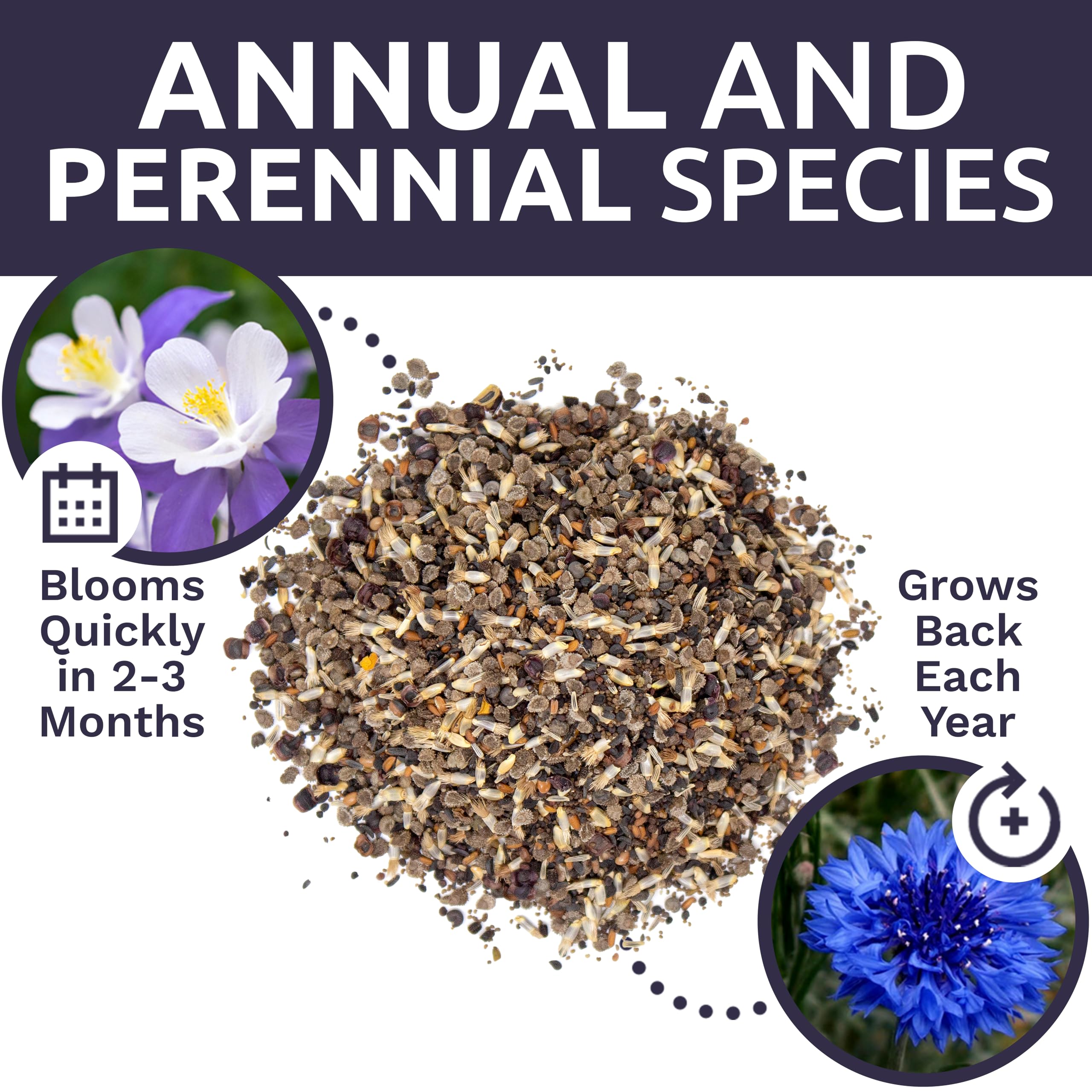 Sweet Yards gift packaging highlights a thoughtful seed-gifting option.