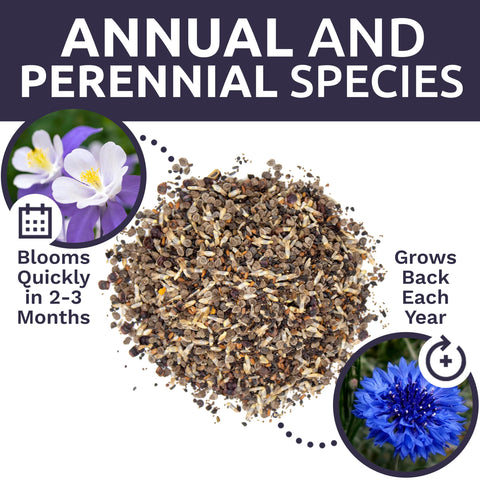 Sweet Yards gift packaging highlights a thoughtful seed-gifting option.