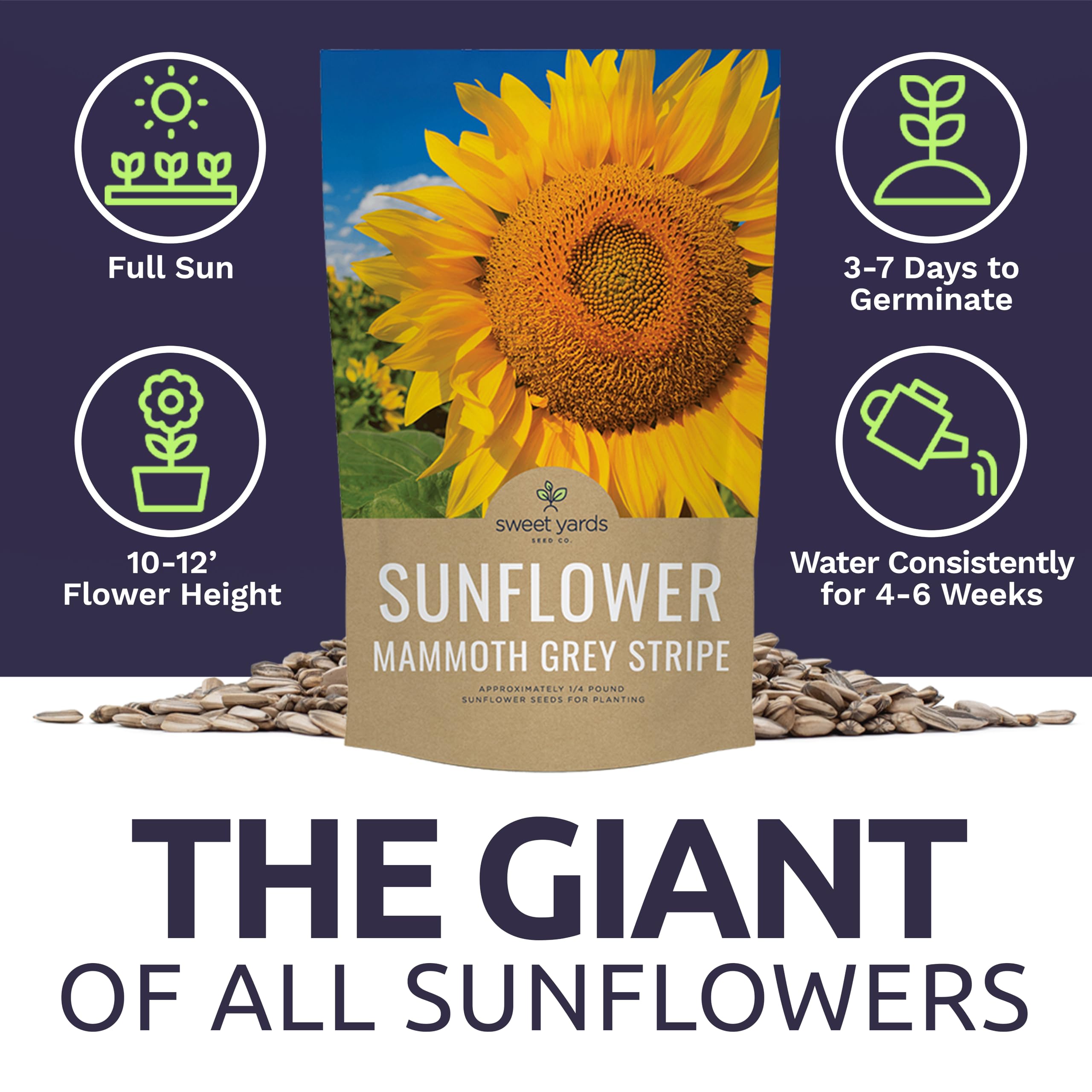 Pollinator-friendly Sunflower seeds from Sweet Yards attracting wildlife