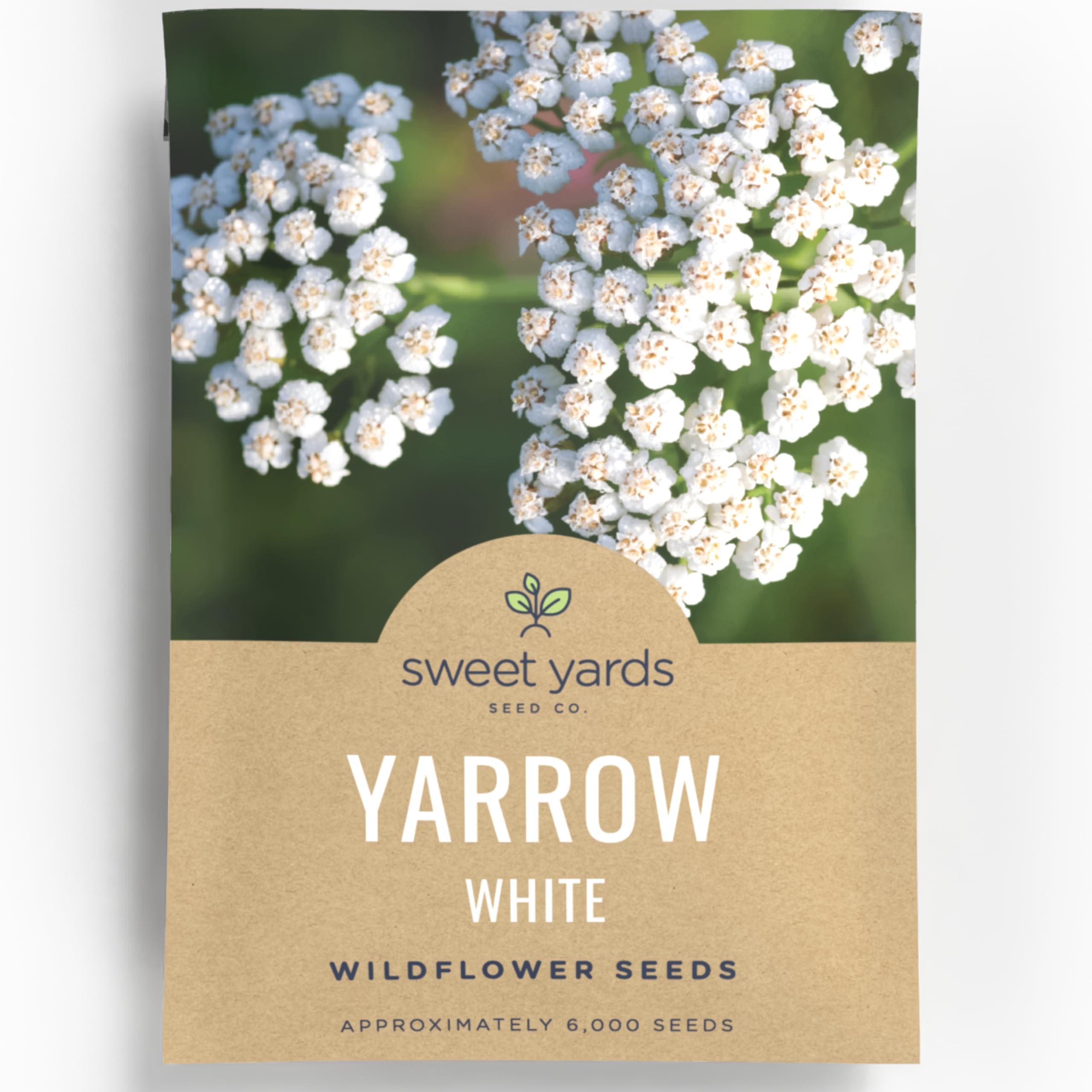 Sweet Yards Yarrow White envelope front view for quick start to pollinator gardens.