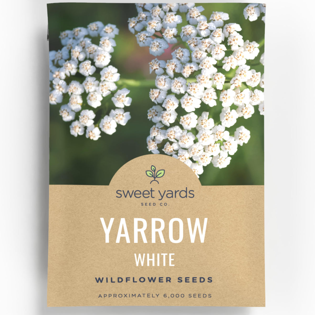Sweet Yards Yarrow White envelope front view for quick start to pollinator gardens.