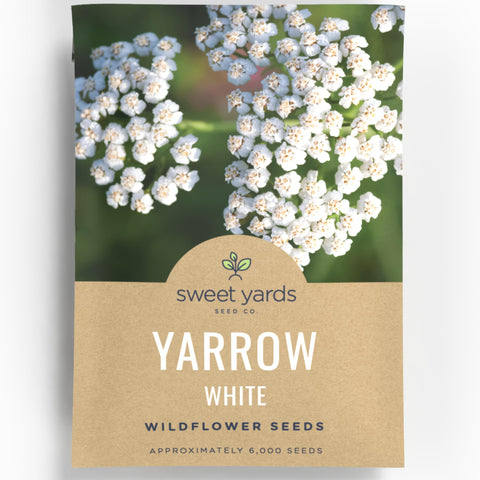 Sweet Yards Yarrow White envelope front view for quick start to pollinator gardens.