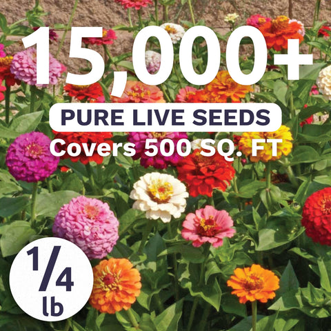 Sweet Yards Zinnia Cut & Come Again Mix 4oz pouch, ready for bulk planting.