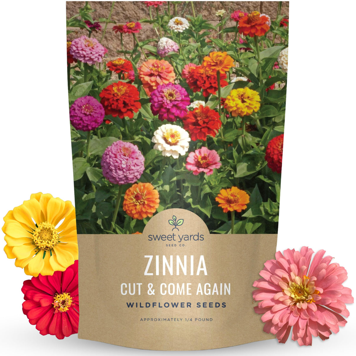 Sweet Yards Zinnia Cut & Come Again blooms in closeup, vivid colors ideal for fresh bouquets.