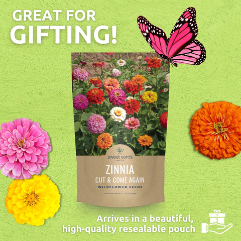 Sweet Yards zinnias in a vase, perfect for home arrangements.