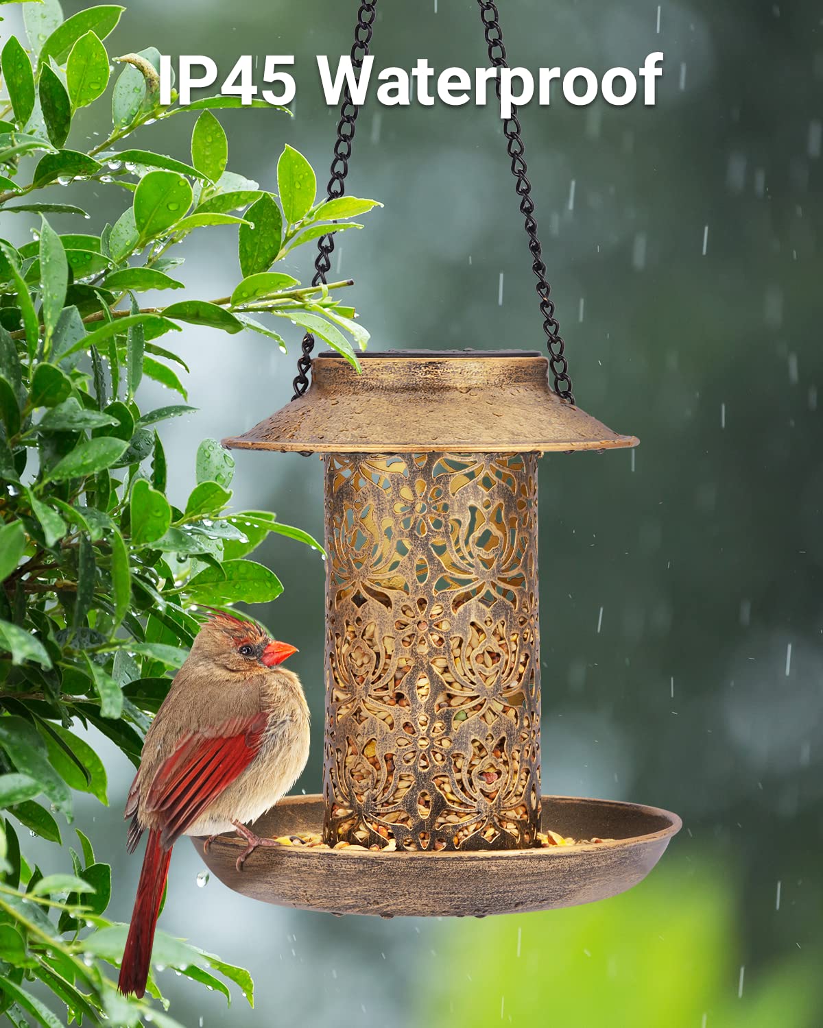 Sweetfull feeder with anti-rust coating for durable outdoor use.