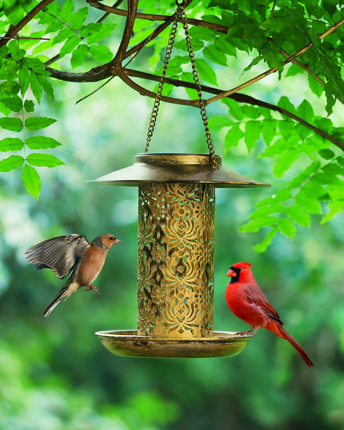 Sweetfull color-tuned design with flower details attracts garden birds.