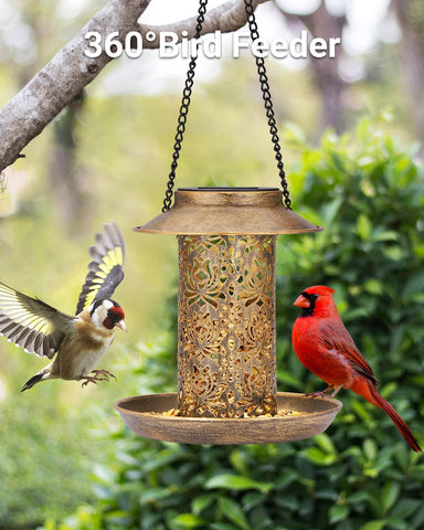 Sweetfull feeder roof protects seeds from rain, keeping them dry.