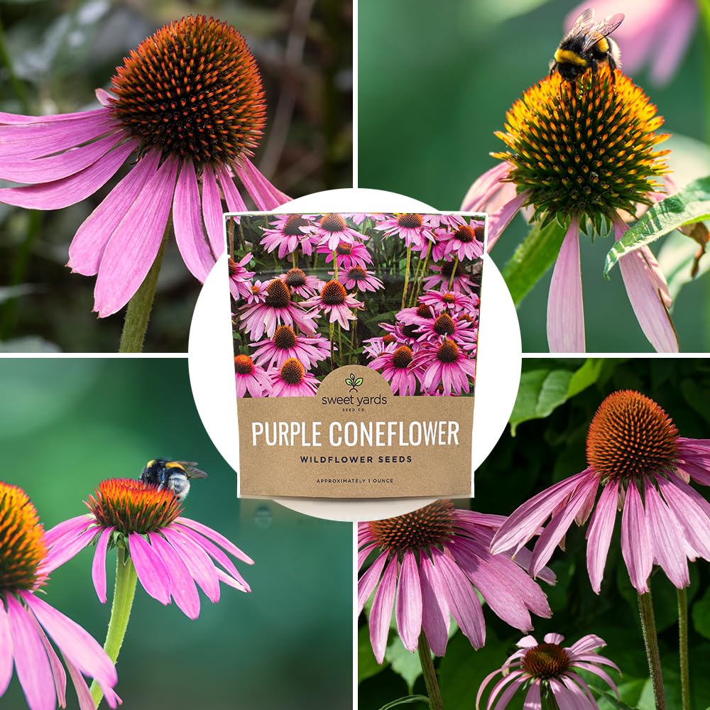 Sweet Yards 75 square feet coverage supports a vibrant pollinator-friendly garden.