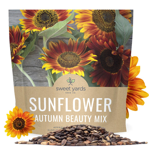 Sweet Yards Autumn Beauty Sunflower seeds in premium extra-large packet for gifting and storage