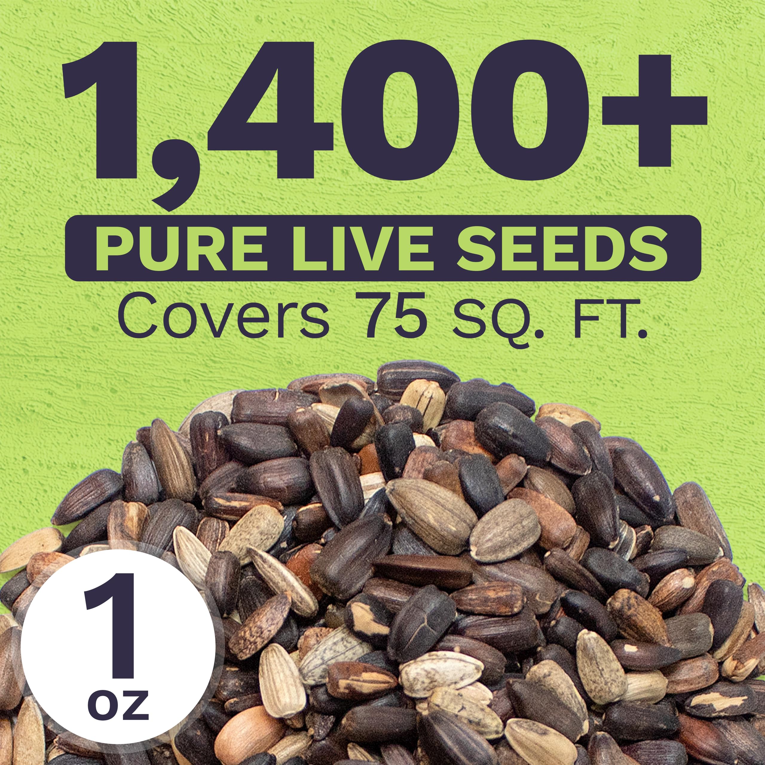 Sweet Yards Autumn Beauty seeds are open-pollinated and Non-GMO for reliable growth