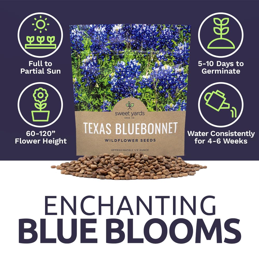 Sweet Yards bluebonnet flowers attract local beneficial insects in wildflower beds.