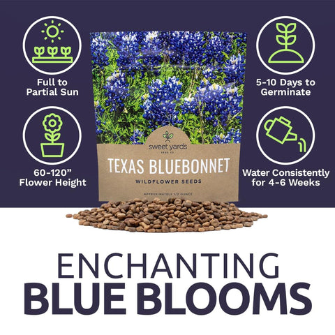 Sweet Yards bluebonnet flowers attract local beneficial insects in wildflower beds.