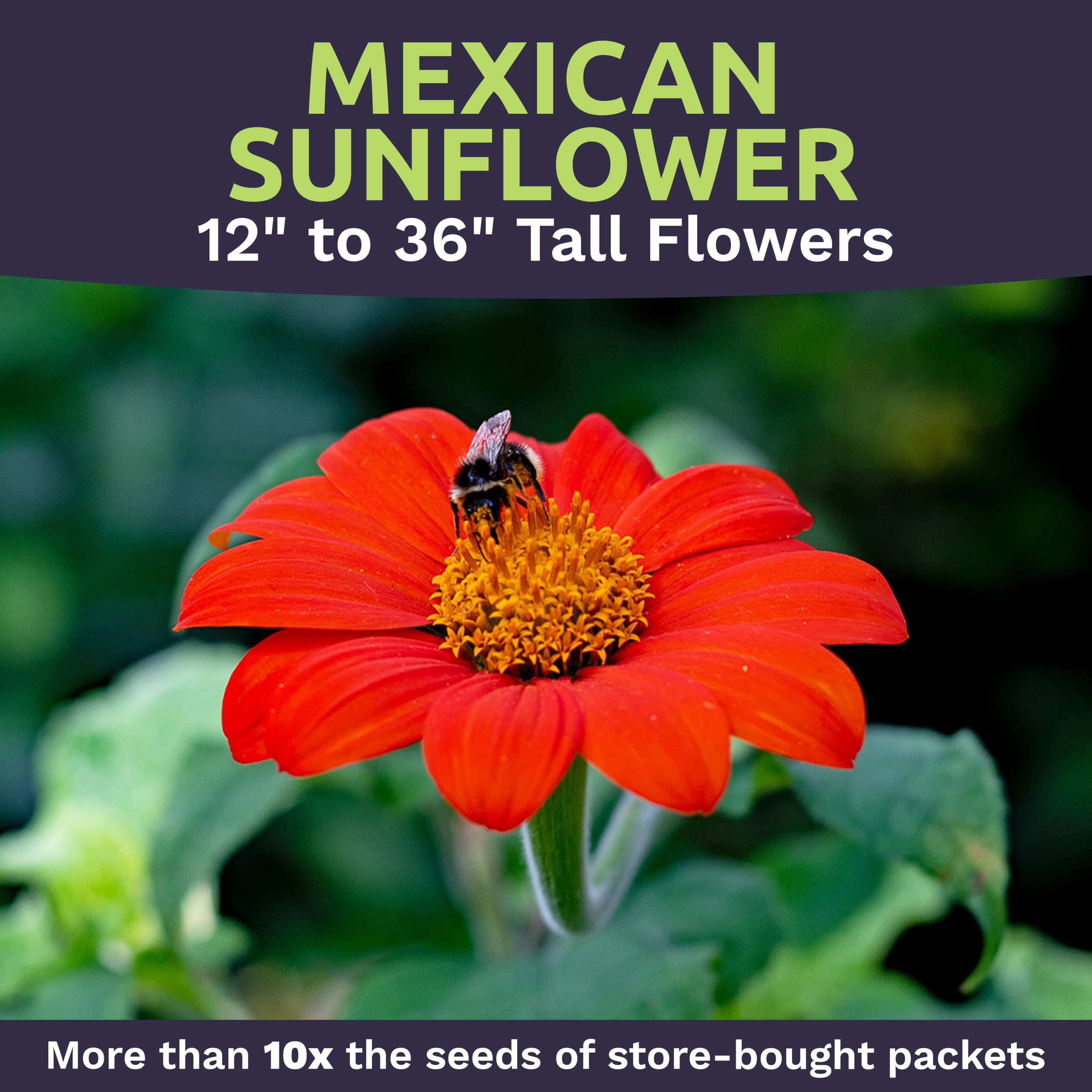 Sweet Yards bulk seed packs ideal for gifts and seed packets