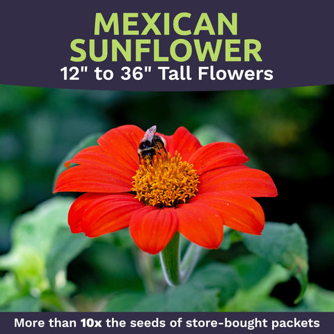 Sweet Yards bulk seed packs ideal for gifts and seed packets