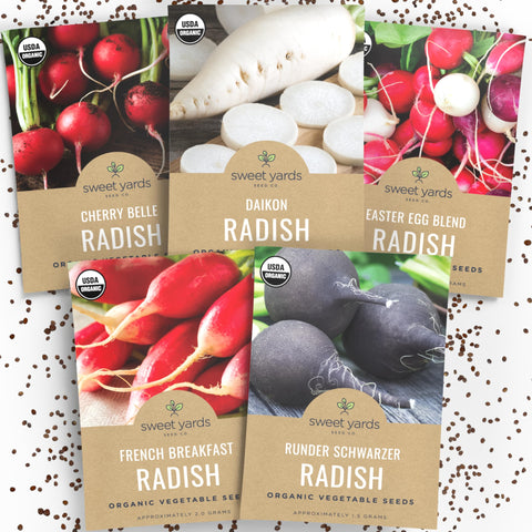Sweet Yards Cherry Belle radish seeds for crispy home harvests