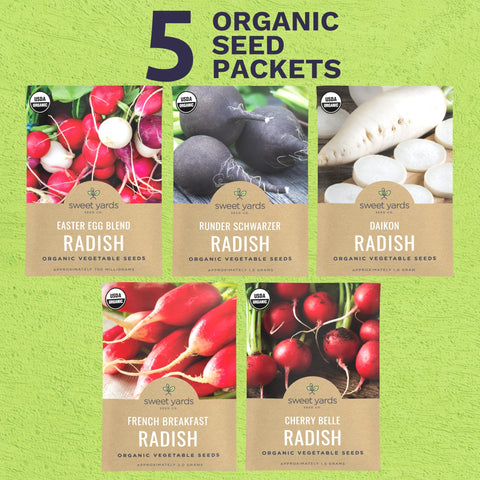 Sweet Yards Daikon radish seeds for crisp roots and quick growth