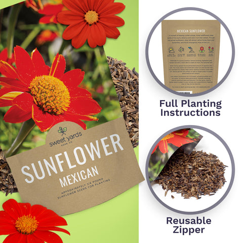 Sweet Yards drought-tolerant sunflowers bloom in sunny beds